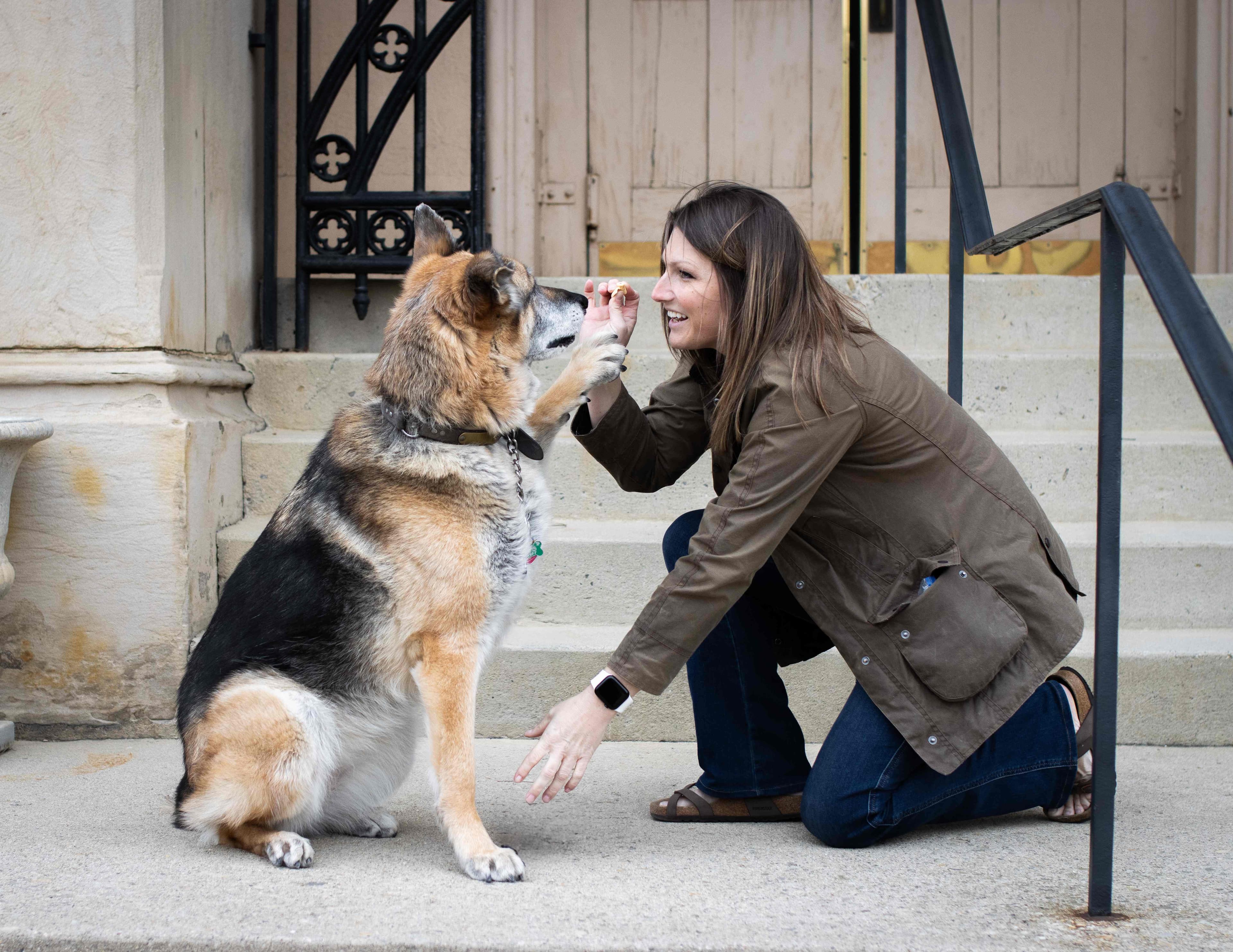 Owner giving her German Shepherd a treat on stone steps