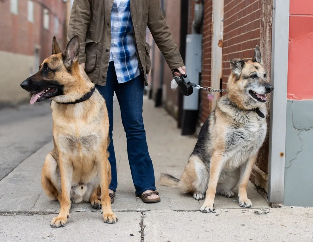 Bosa (left) and Carmen (right)